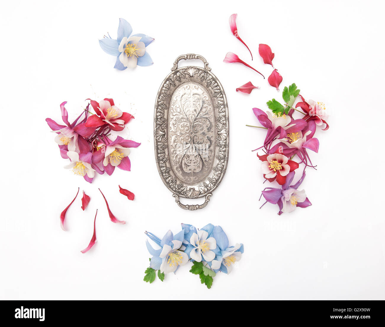 Ancolies de fleur vintage et plaque d'argent. Arrière-plan de mise à plat Banque D'Images