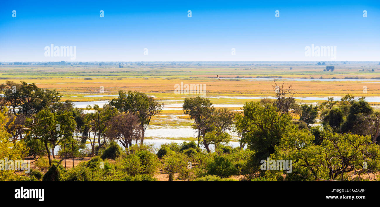 Vue paysage de Chobe National Park près de Kasane, Botswana, Africa Banque D'Images