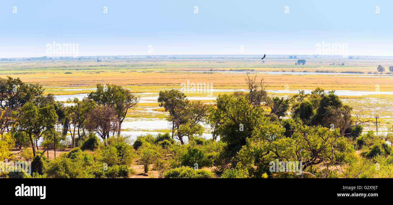 Vue paysage de Chobe National Park près de Kasane, Botswana, Africa Banque D'Images