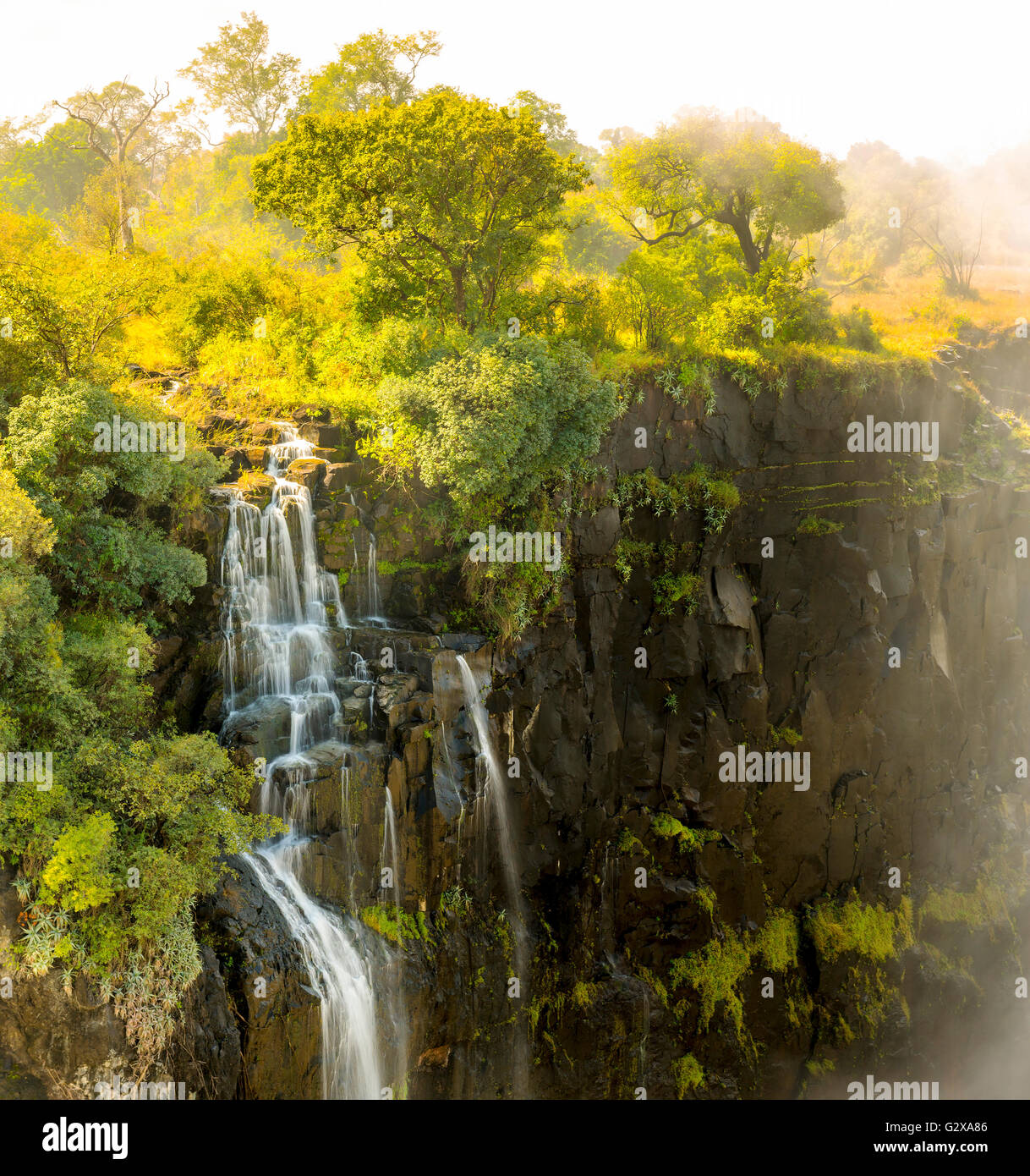 Petit détail de l'article de Victoria Falls Cascade dans l'Afrique, entre la Zambie et le Zimbabwe, l'une des sept merveilles du monde Banque D'Images