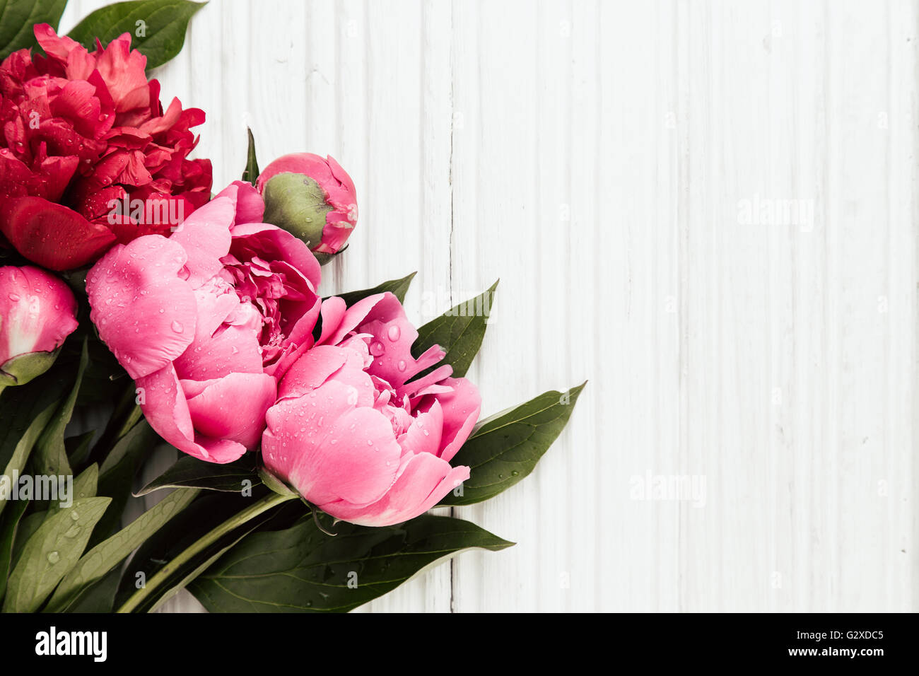 Journée mère avec fond fleurs pivoines Banque D'Images