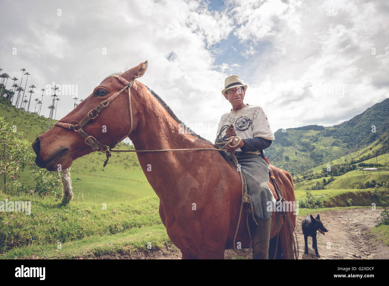Agriculteur local dans la vallée de Cocora près de Salento, Colombie Banque D'Images
