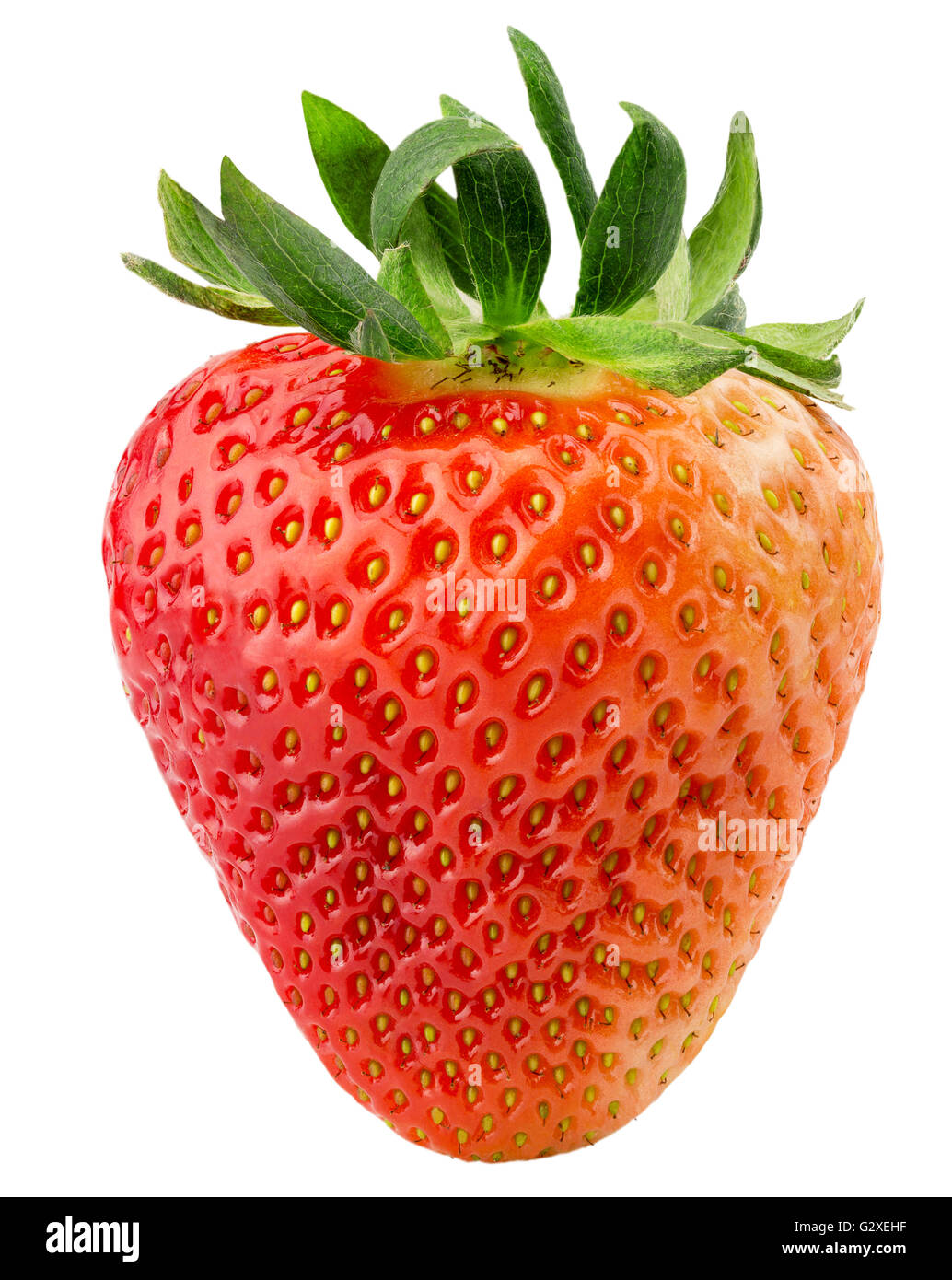 Strawberry isolé sur le fond blanc. Banque D'Images