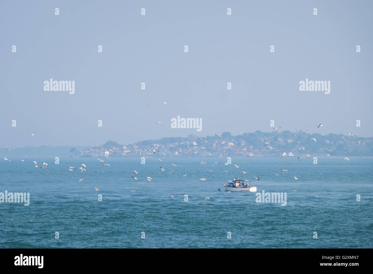 Un petit bateau de pêche entouré de goélands dans le Solent. Vue sur la mer sur l'île de Wight peut être vu dans la distance. Banque D'Images