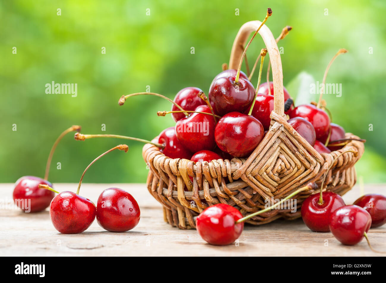 Panier avec cherry close up on table in garden Banque D'Images