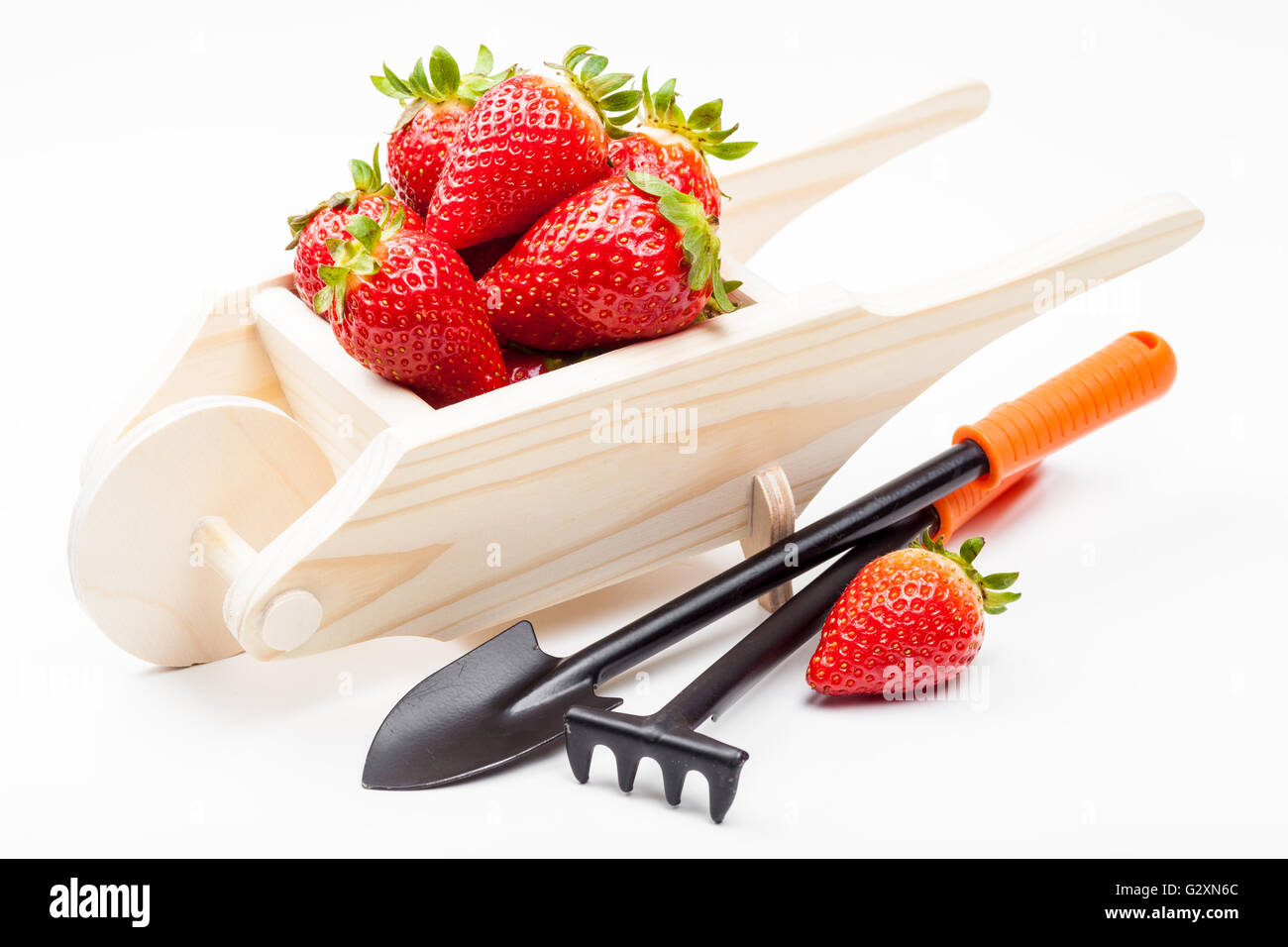Panier de fraises fraîches en bois et outils de jardin. Banque D'Images