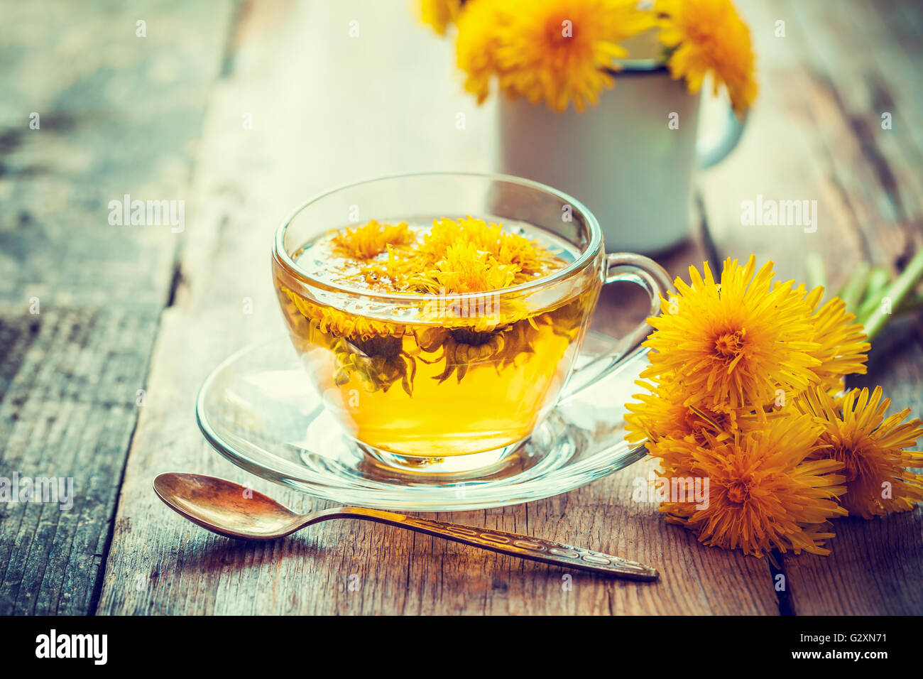 Tasse de thé de pissenlit en bonne santé. La médecine de fines herbes. tons rétro. Banque D'Images
