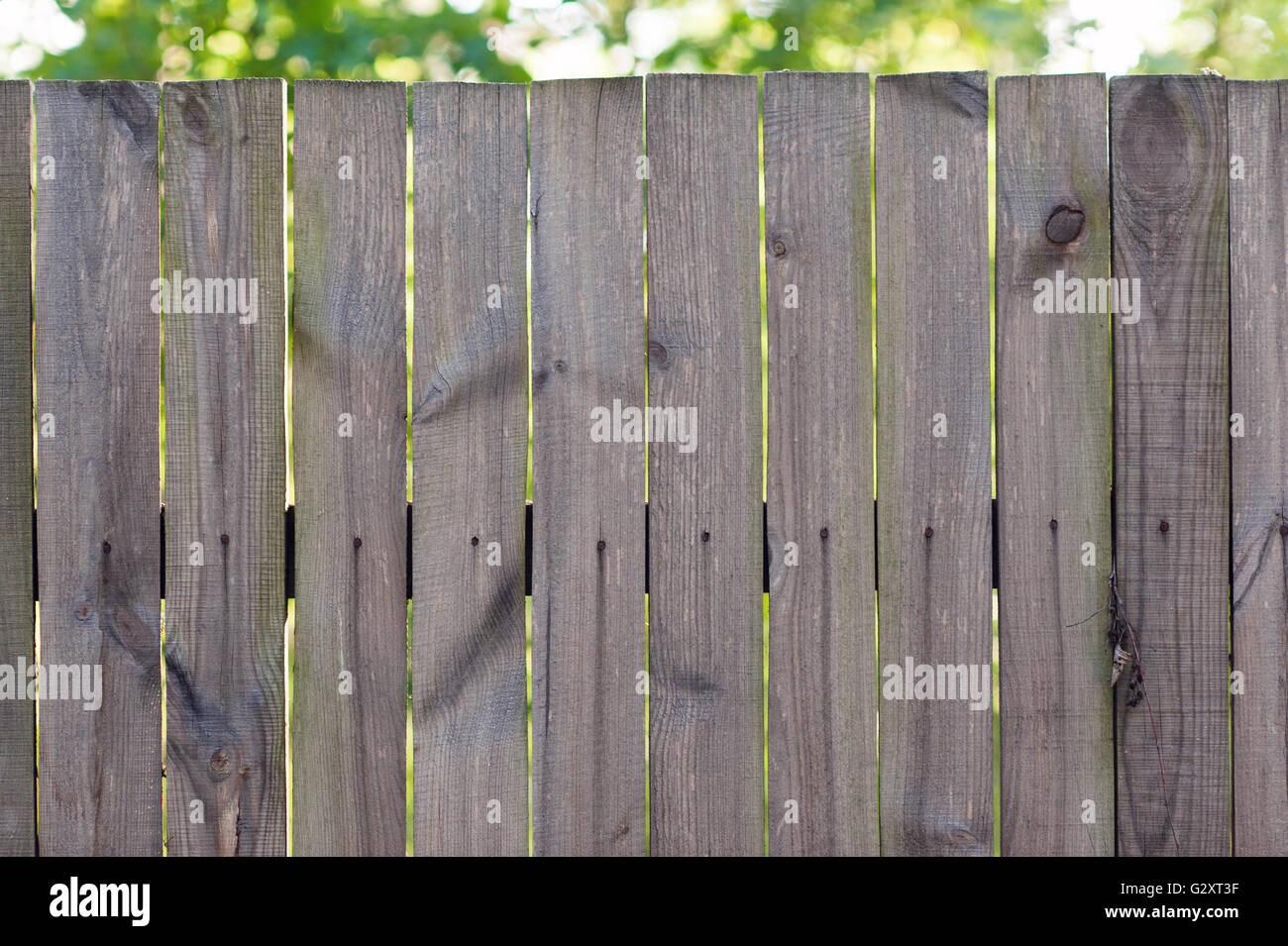 Près des panneaux de clôture en bois gris Banque D'Images