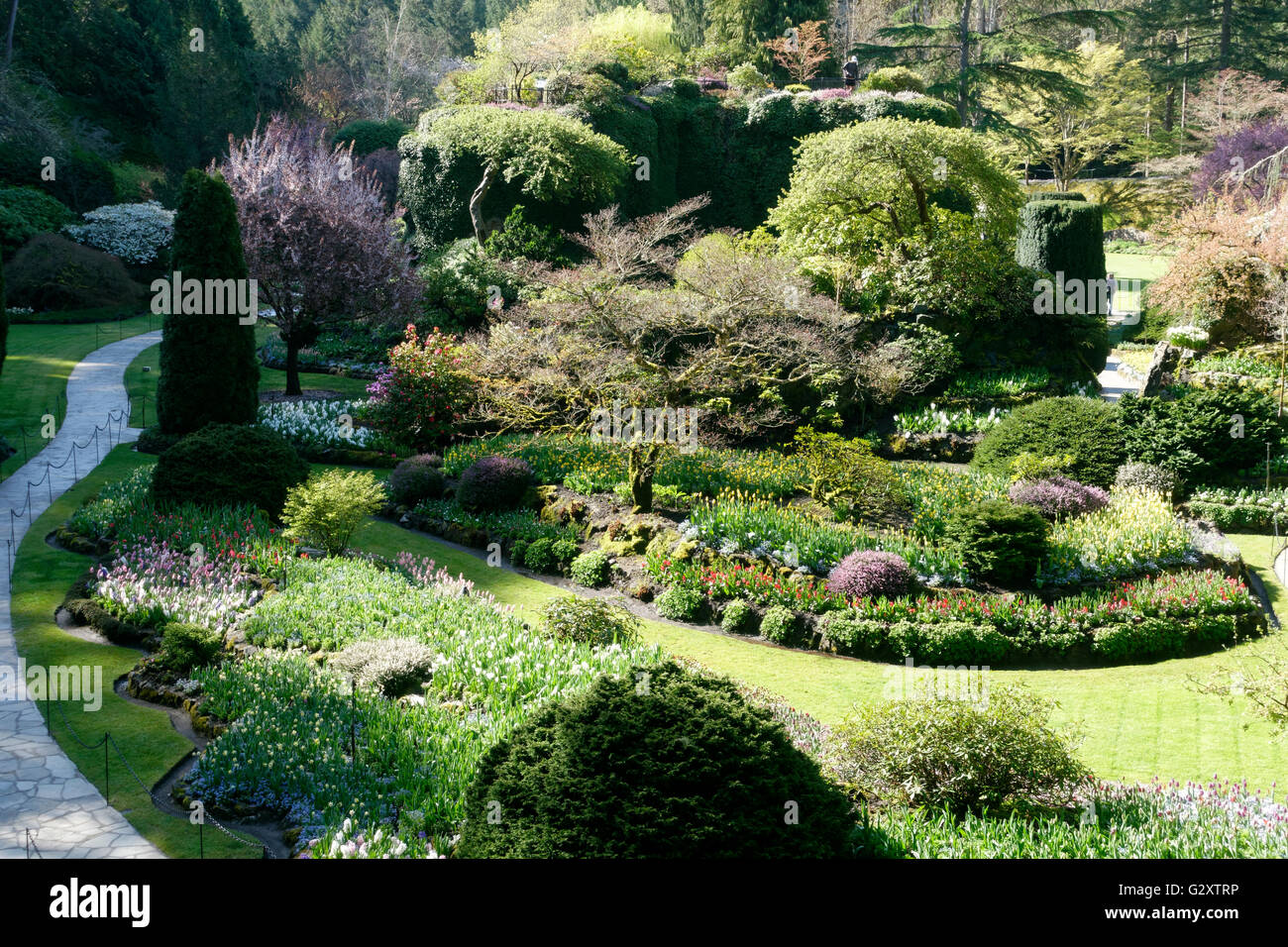Les Butchart Gardens au printemps, le jardin en contrebas Banque D'Images