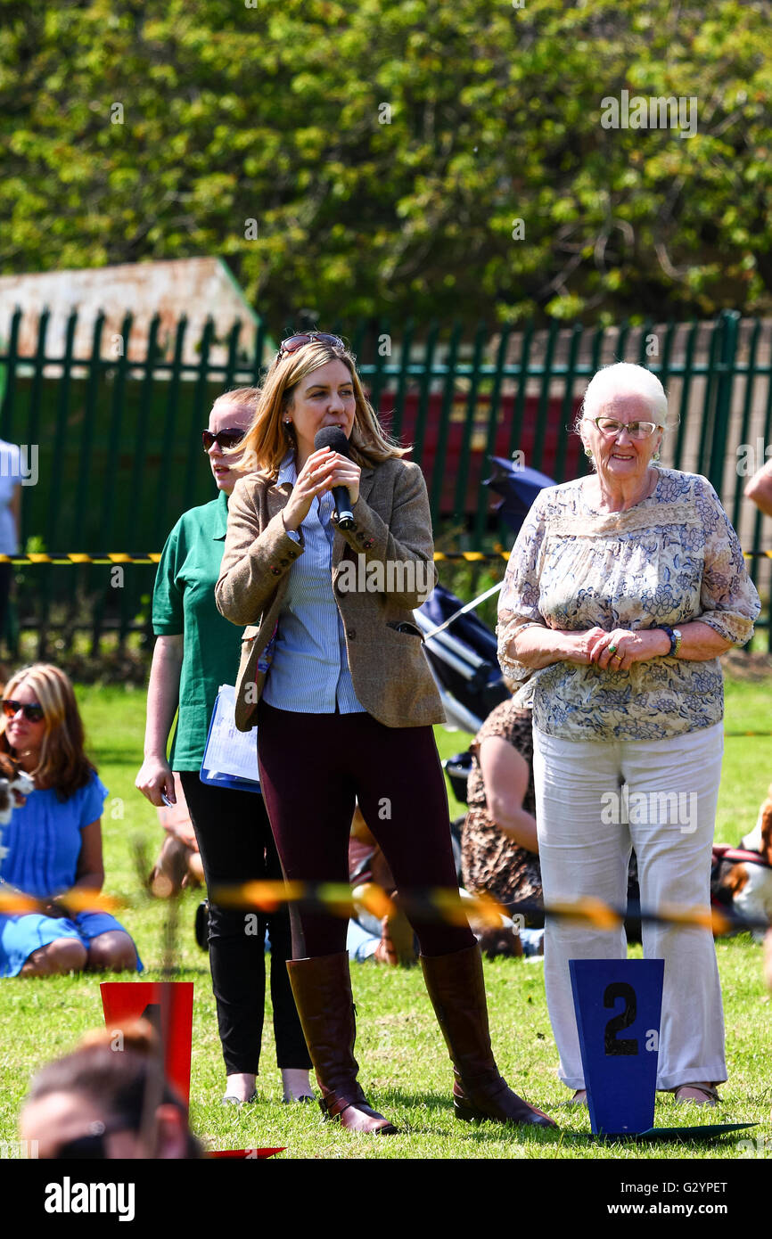 Leeds, UK. Le 05 juin, 2016. Andrea Jenkyns juger de la Morley Dartmouth park dog show, député de Morley et Outwood, Andrea Jenkyns prend le temps de son horaire chargé de juger à sa section locale dog show à Morley près de Leeds. Le MP qui avaient détrôné Ed Balls dans l'élection générale de mai 2015 brexit est la sauvegarde de l'Union européenne. Jenkyns a remporté le premier prix elle-même en 2015 à la Westminster e dog show avec ses deux mini Schnauzer appelé l'un et l'autre dame Godiva. Prise sur le 5 juin 2016 à Morley près de Leeds. Crédit : Andrew Gardner/Alamy Live News Banque D'Images
