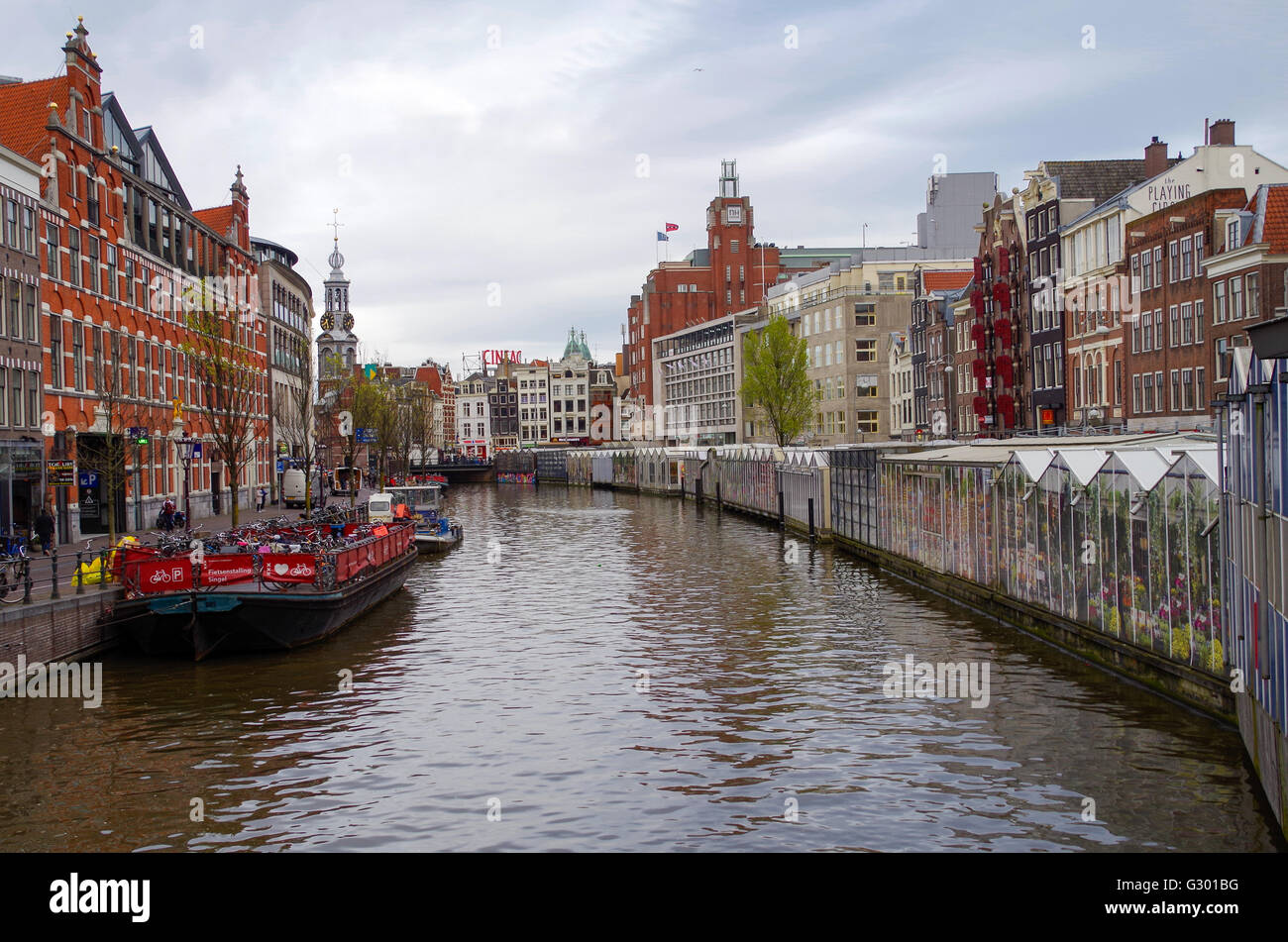 Le seul marché aux fleurs d'Amsterdam, Holland (2016) Banque D'Images