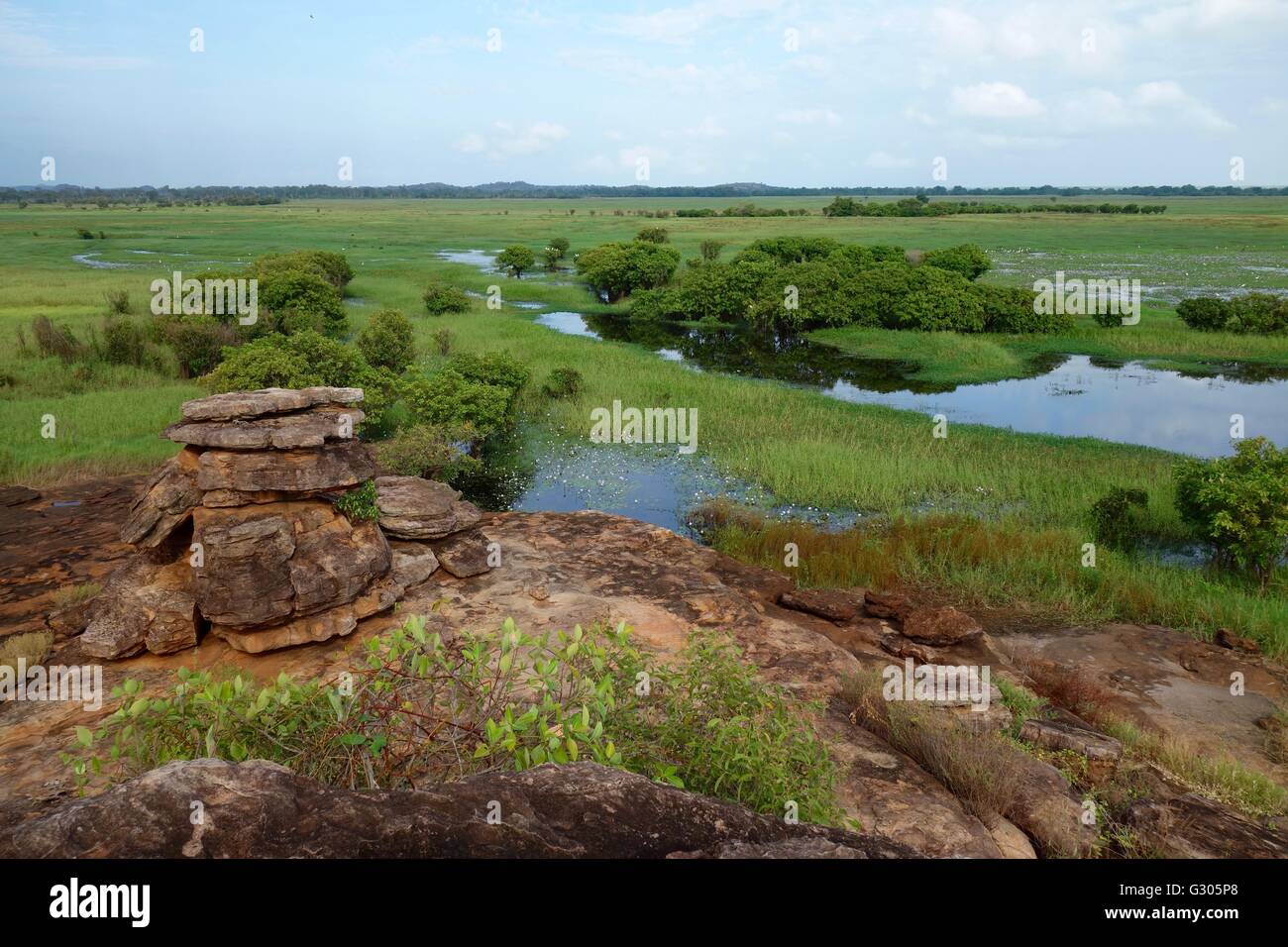 Vue sur les plaines inondables et les zones humides de l'Est près de la rivière Alligator dans l'ouest de la terre d'Arnhem, dans le Territoire du Nord, Australie Banque D'Images