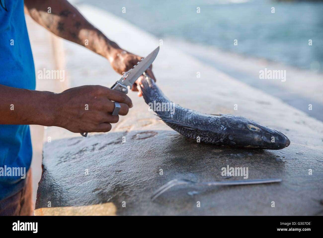 Couper l'homme du poisson fraîchement pêché à Gibara, Cuba Banque D'Images