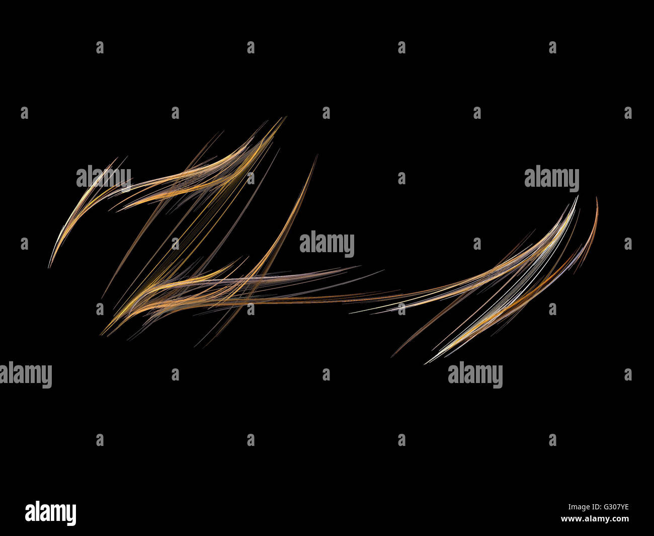 Image d'un fractal numérique avec multicolor Banque D'Images