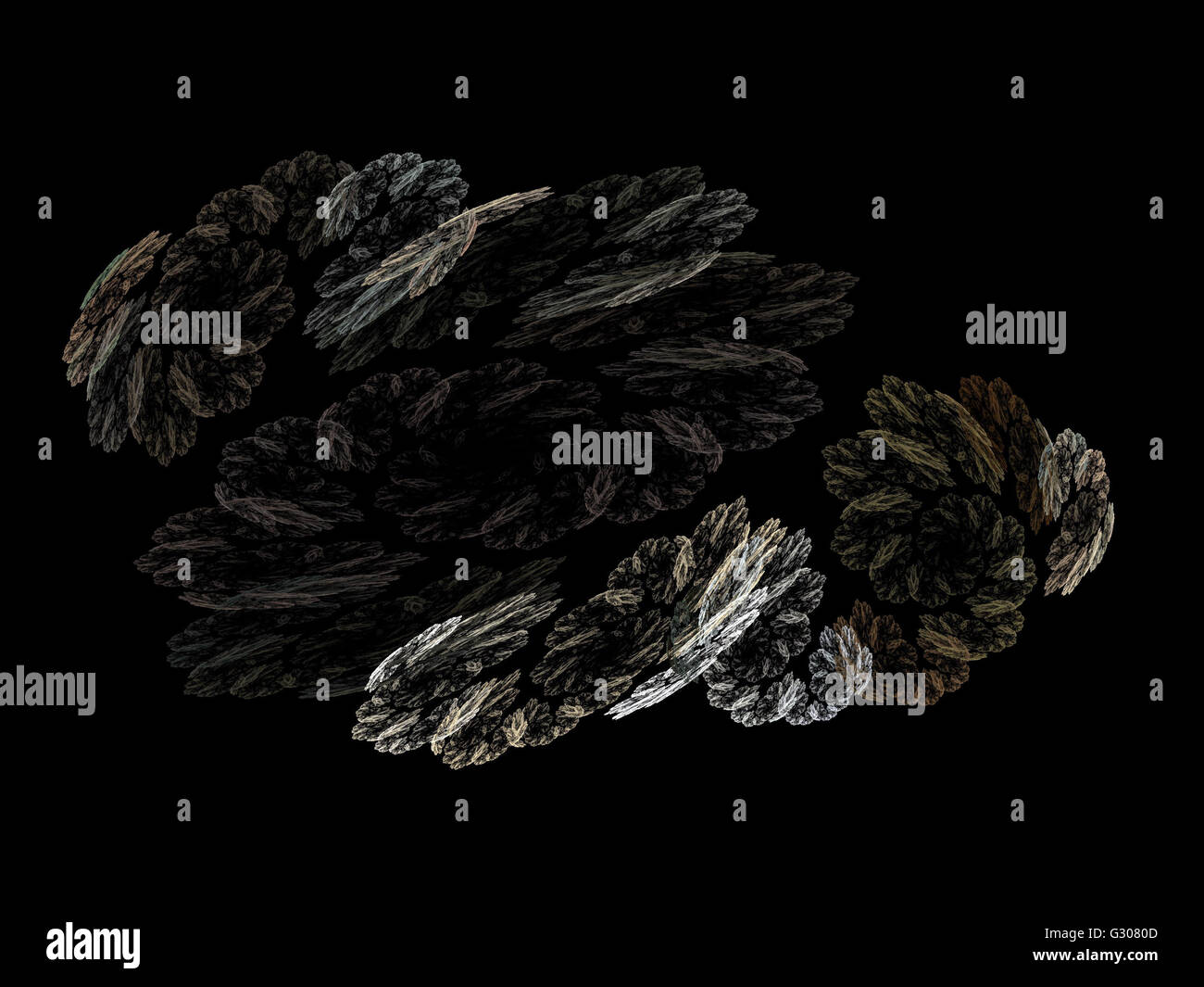 Image d'un fractal numérique avec multicolor Banque D'Images