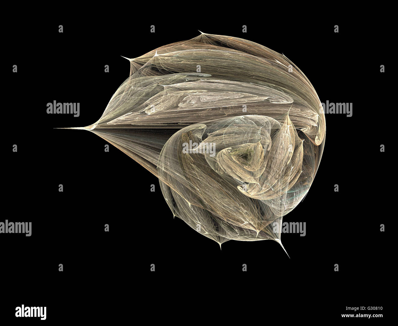 Image d'un fractal numérique avec multicolor Banque D'Images