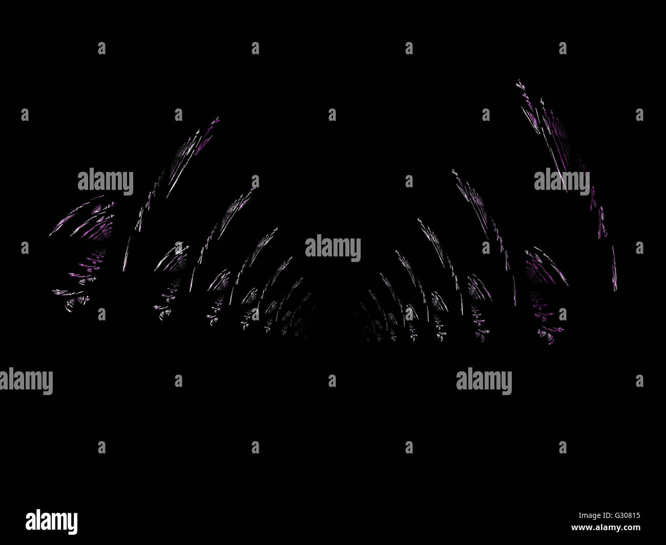Image d'un fractal numérique avec multicolor Banque D'Images