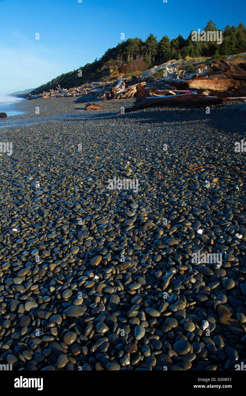 South Beach, Olympic National Park, Washington Banque D'Images