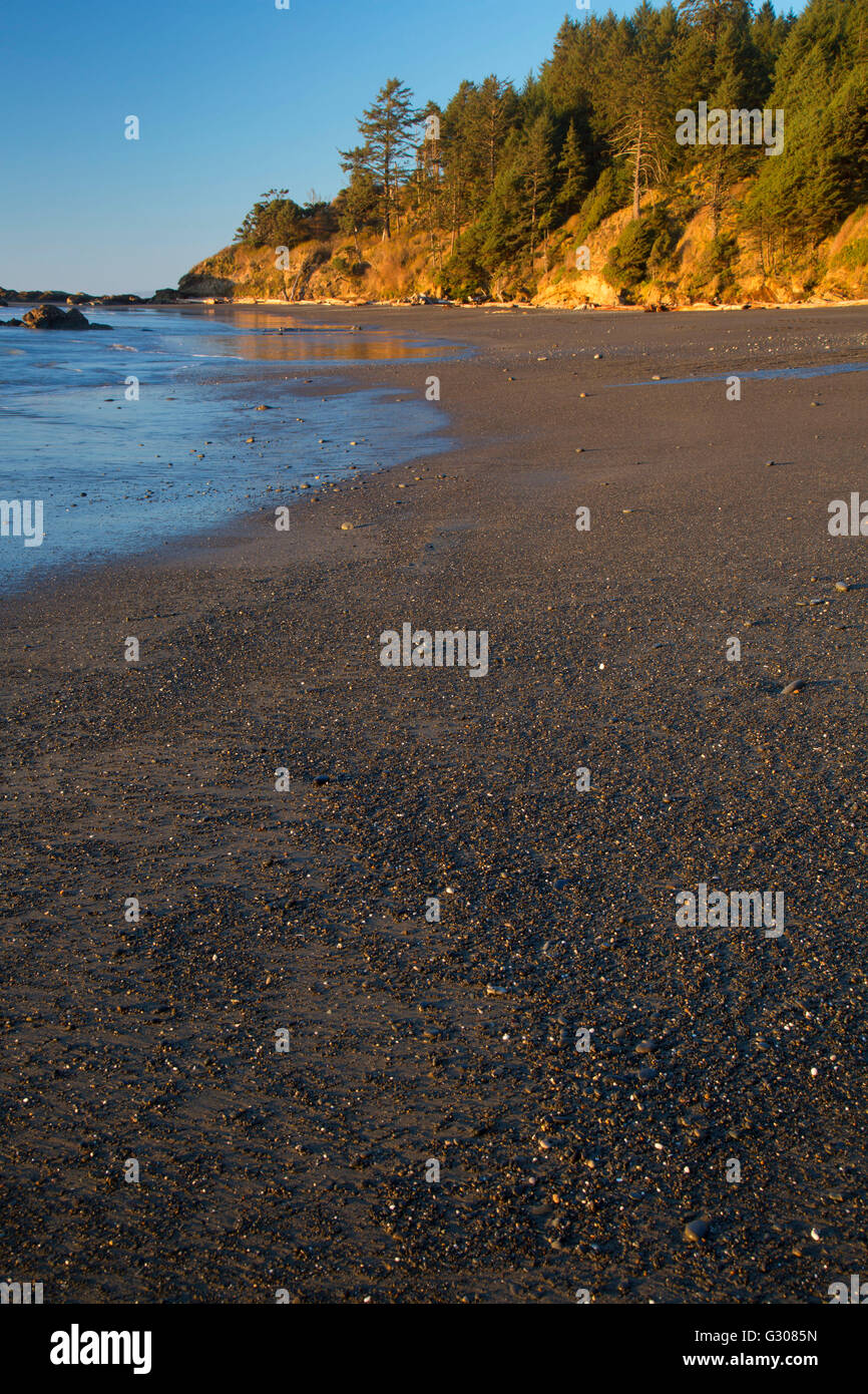 Plage 4, Olympic National Park, Washington Banque D'Images