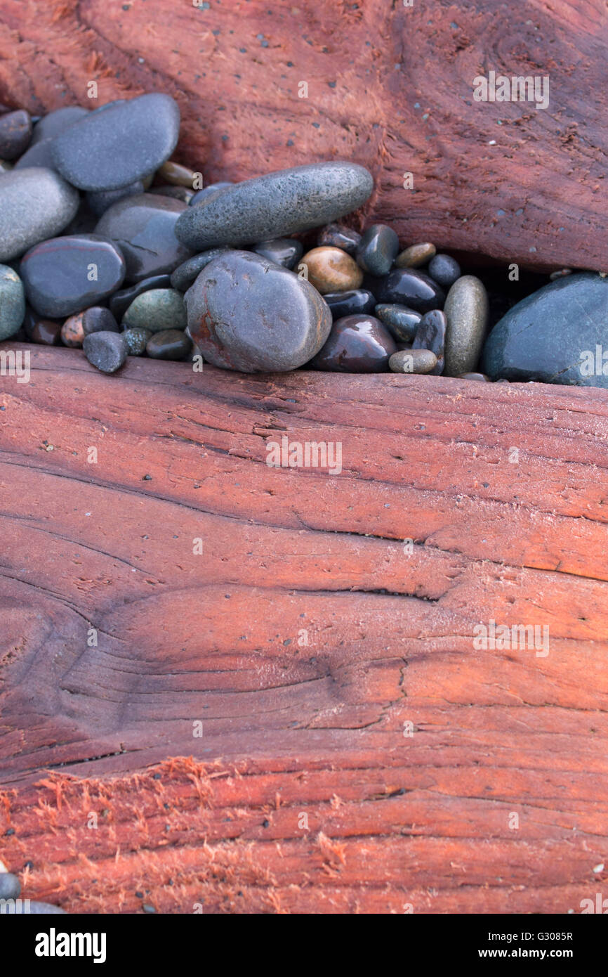 Se connecter avec des galets sur le Rialto Beach, Olympic National Park, Washington Banque D'Images