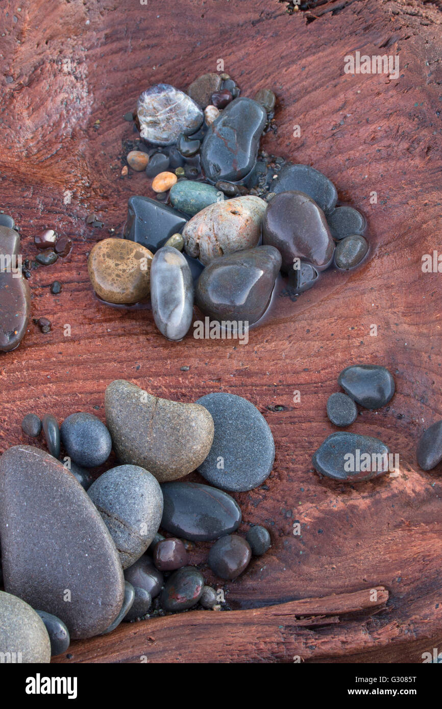 Se connecter avec des galets sur le Rialto Beach, Olympic National Park, Washington Banque D'Images