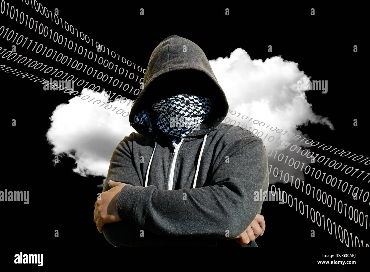 Le phoque à capuchon et le voleur masqué hacker l'ordinateur avec un nuage de fond sur ordinateur. La technologie de l'inconnu menace pour le mainframe cloud Banque D'Images