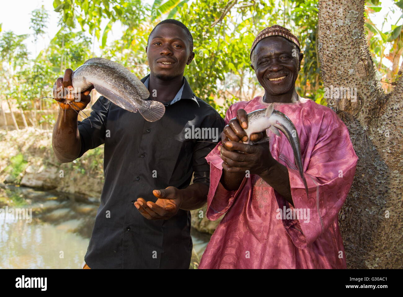 Peter Baba Keita et son fils Richard Peter, exécuter une ferme piscicole, le Nigeria, l'Afrique de l'Ouest, l'Afrique Banque D'Images