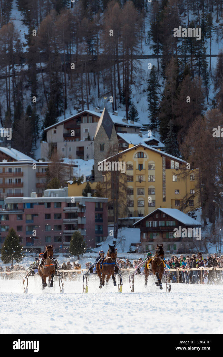 Événement Trap, White Turf International Horse Race, l'hiver, Saint Moritz, Engadine, Grisons, Suisse, Europe Banque D'Images