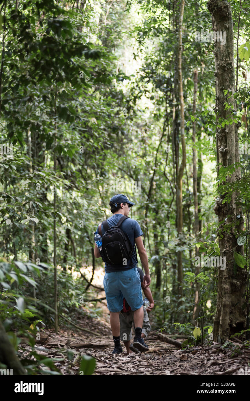Tourisme une jungle trek dans le parc national de Gunung Leuser, Bukit Lawang, au nord de Sumatra, Indonésie, Asie du Sud, Asie Banque D'Images