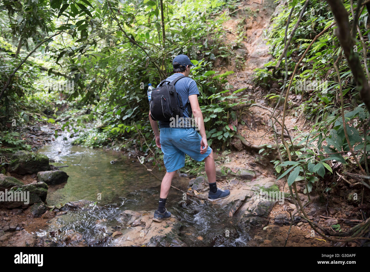 Tourisme une jungle trek dans le parc national de Gunung Leuser, Bukit Lawang, au nord de Sumatra, Indonésie, Asie du Sud, Asie Banque D'Images