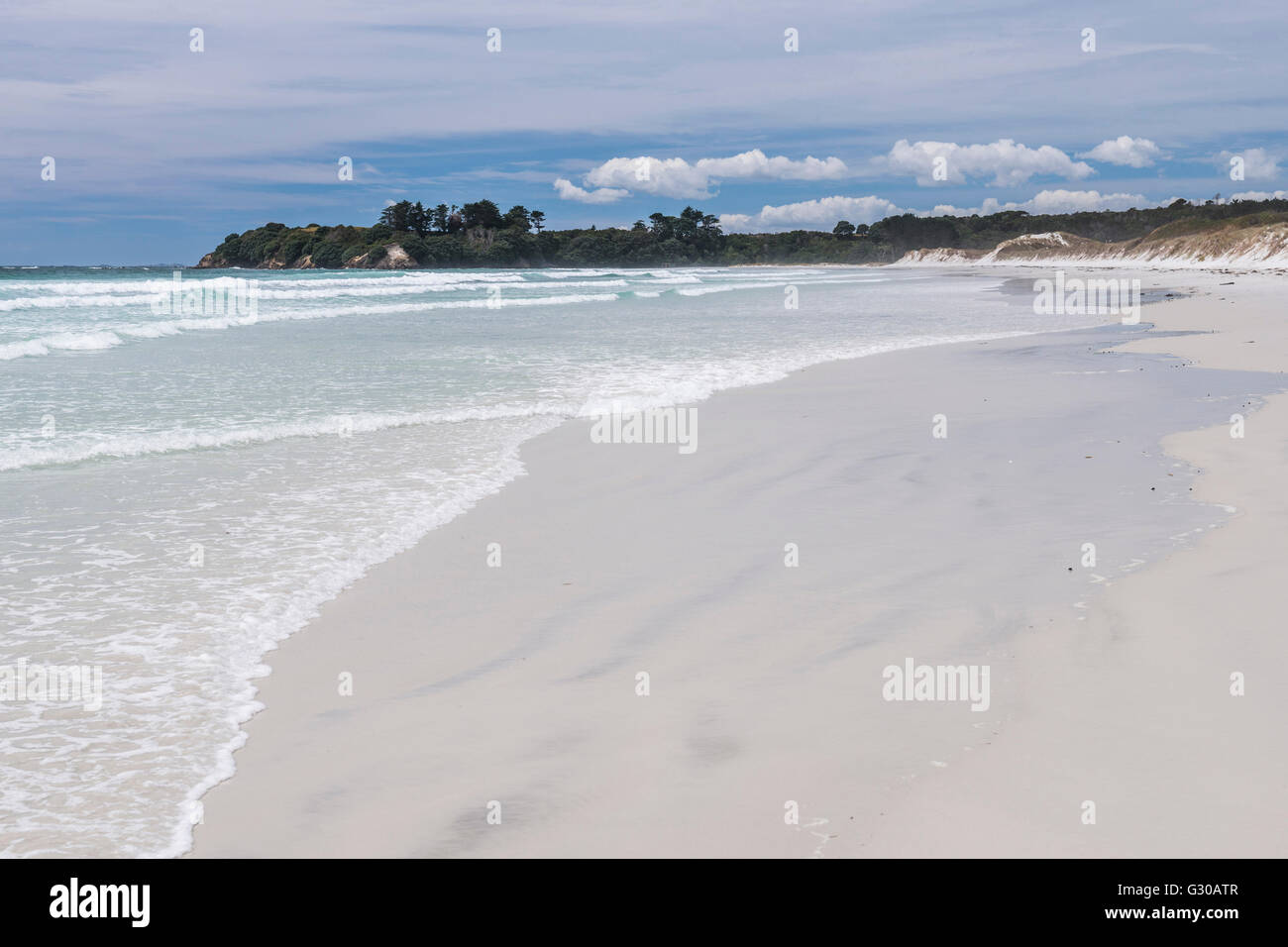 Plage Rarawa, populaire et très belle plage de sable blanc dans la région de Northland, île du Nord, Nouvelle-Zélande, Pacifique Banque D'Images