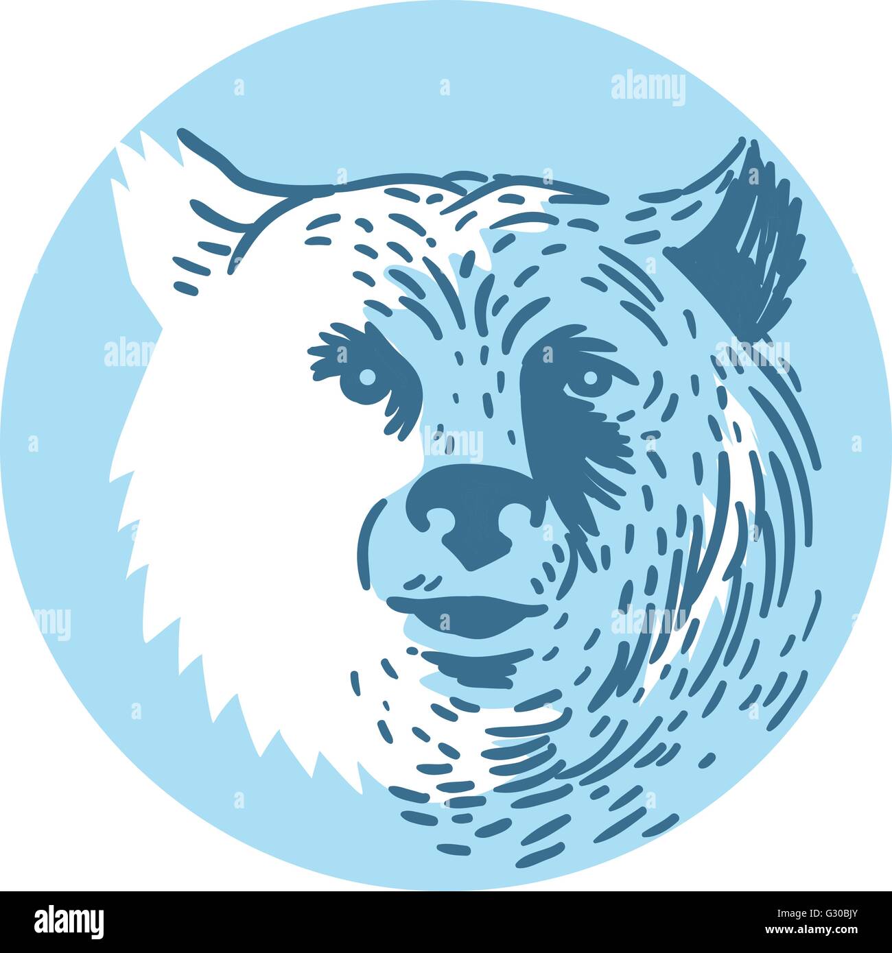 Style croquis dessin illustration d'une tête d'ours smiling vu de l'avant ensemble à l'intérieur du cercle sur fond isolé. Illustration de Vecteur