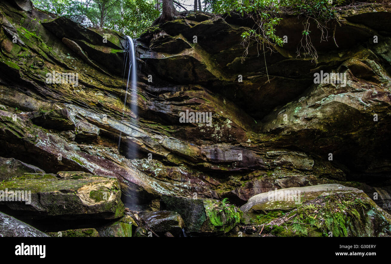 Red River Gorge Kentucky Cascade. Cascade de la route dans la gorge de la rivière Rouge dans la zone de loisirs nationale Daniel Boone Fores Banque D'Images