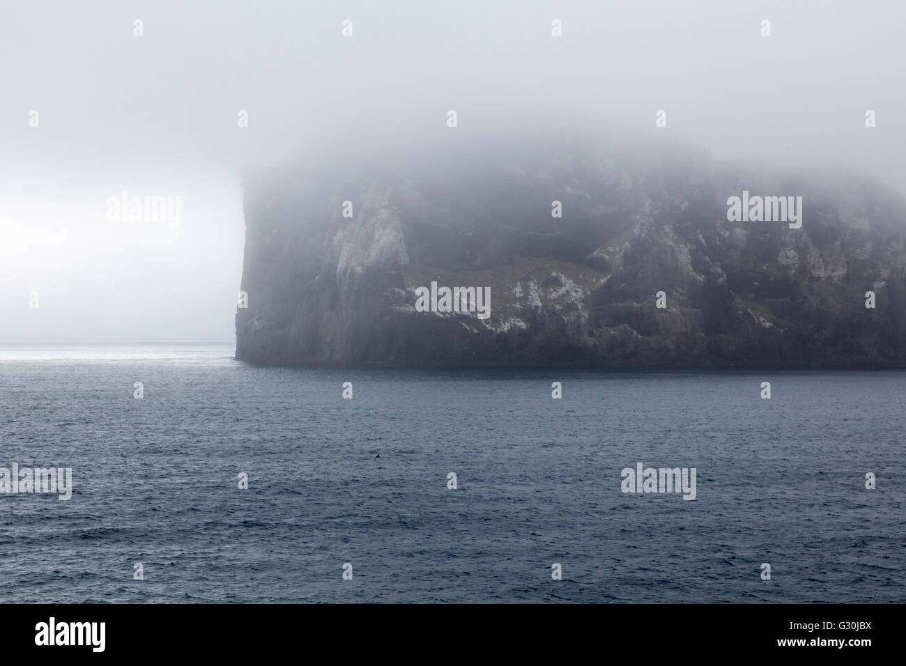 Ciel couvert à l'île des antipodes, sub-antarctiques de Nouvelle-Zélande Banque D'Images