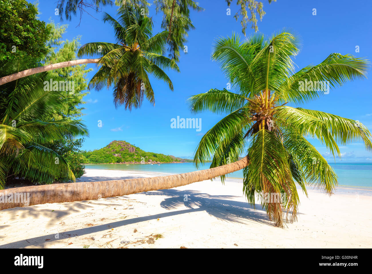 Belle plage sur les Seychelles, océan Indien, Afrique Banque D'Images