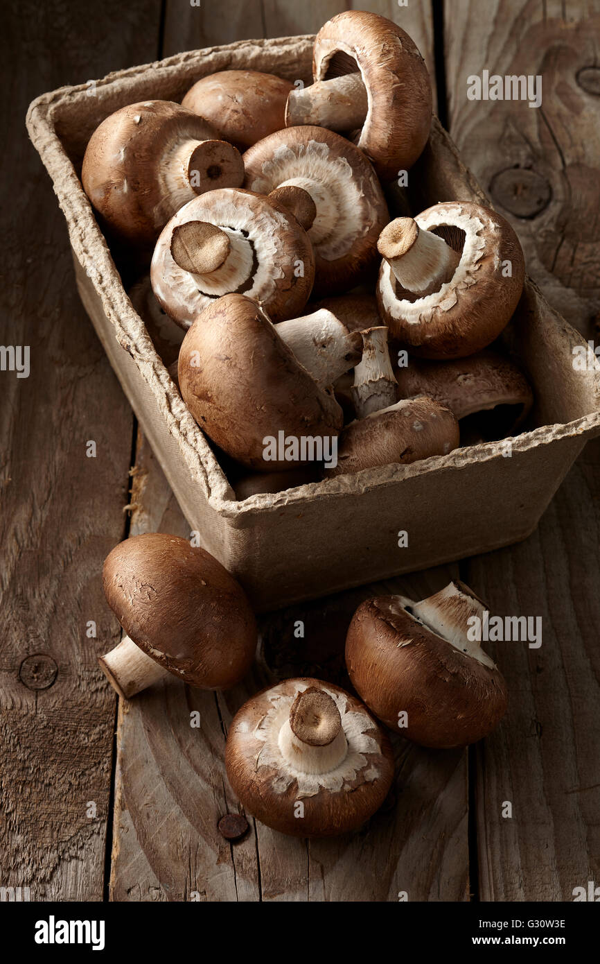 Champignons châtaigne bio Banque D'Images