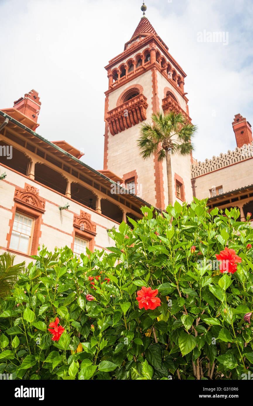 Hibiscus rouge dans la cour sous l'imposante architecture de style néo-Renaissance Espagnole du Florida Flagler College. Banque D'Images