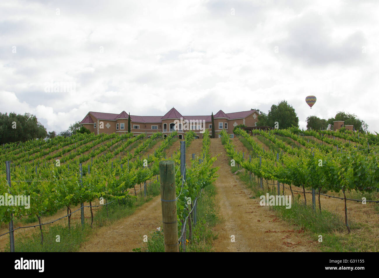 Ballon flottant sur Temecula Valley Winery et vergers dans le sud de la Californie au cours de ballon et Wine Festival Banque D'Images