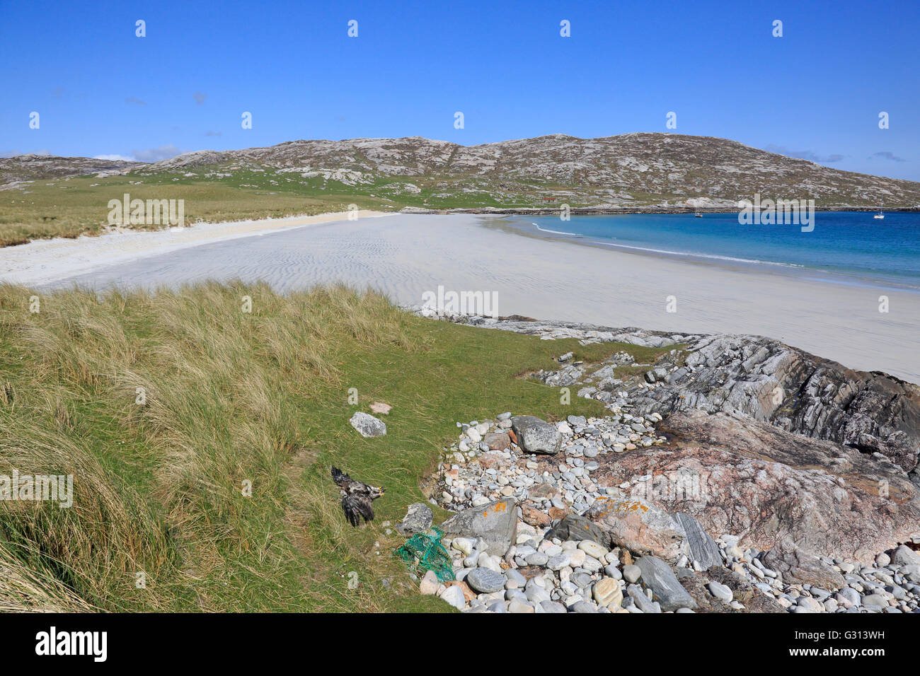 Vue sur plage de sable blanc sur l'île de Taransay dans les Hébrides extérieures avec dead golden eagle en premier plan Banque D'Images
