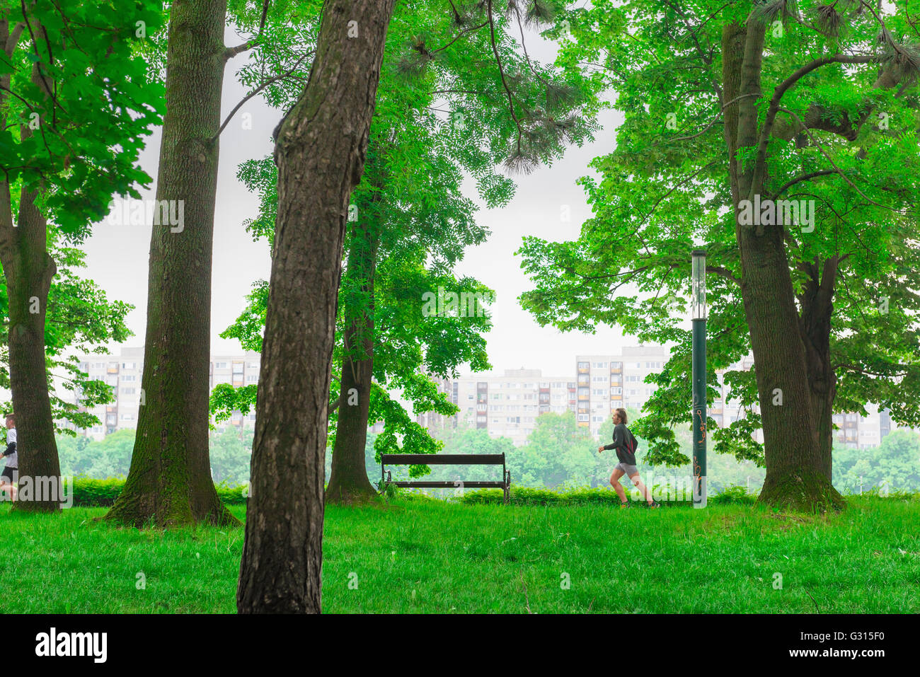 L'île Margaret de Budapest, vue en été d'un coureur s'exerçant le long de la piste de jogging qui entoure l'île Margit-sziget à Budapest, Hongrie. Banque D'Images