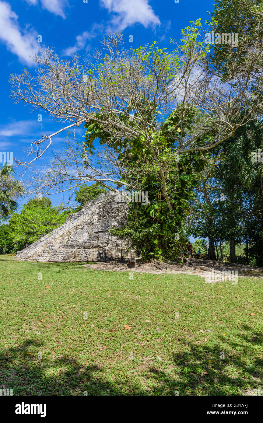 Temple II du groupe 1-A de l'Chacchoben ruines. Chacchoben, Mexique Banque D'Images