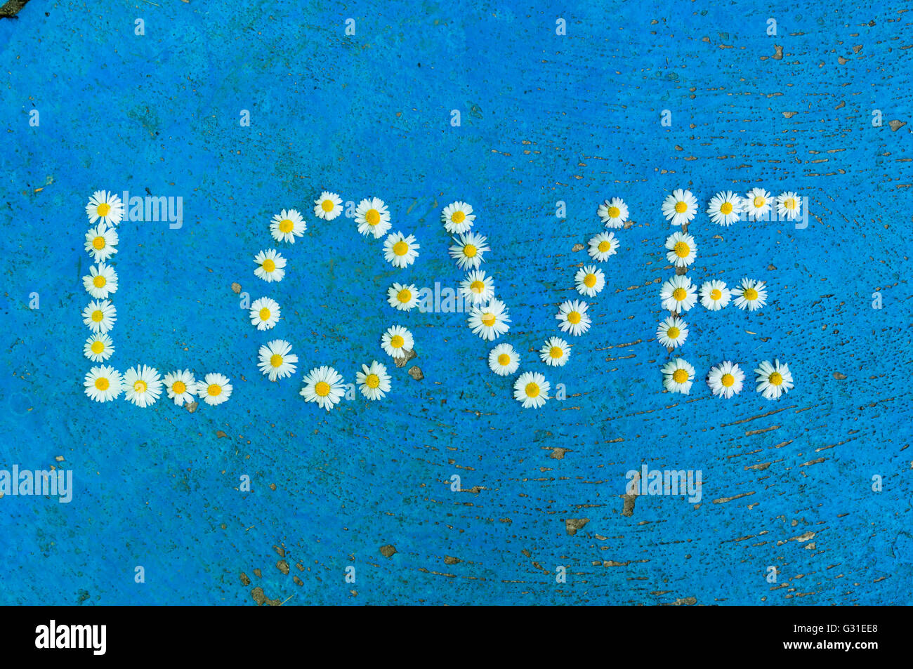 Le mot amour written de daisy fleurs sur fond bleu texturé, vue du dessus Banque D'Images