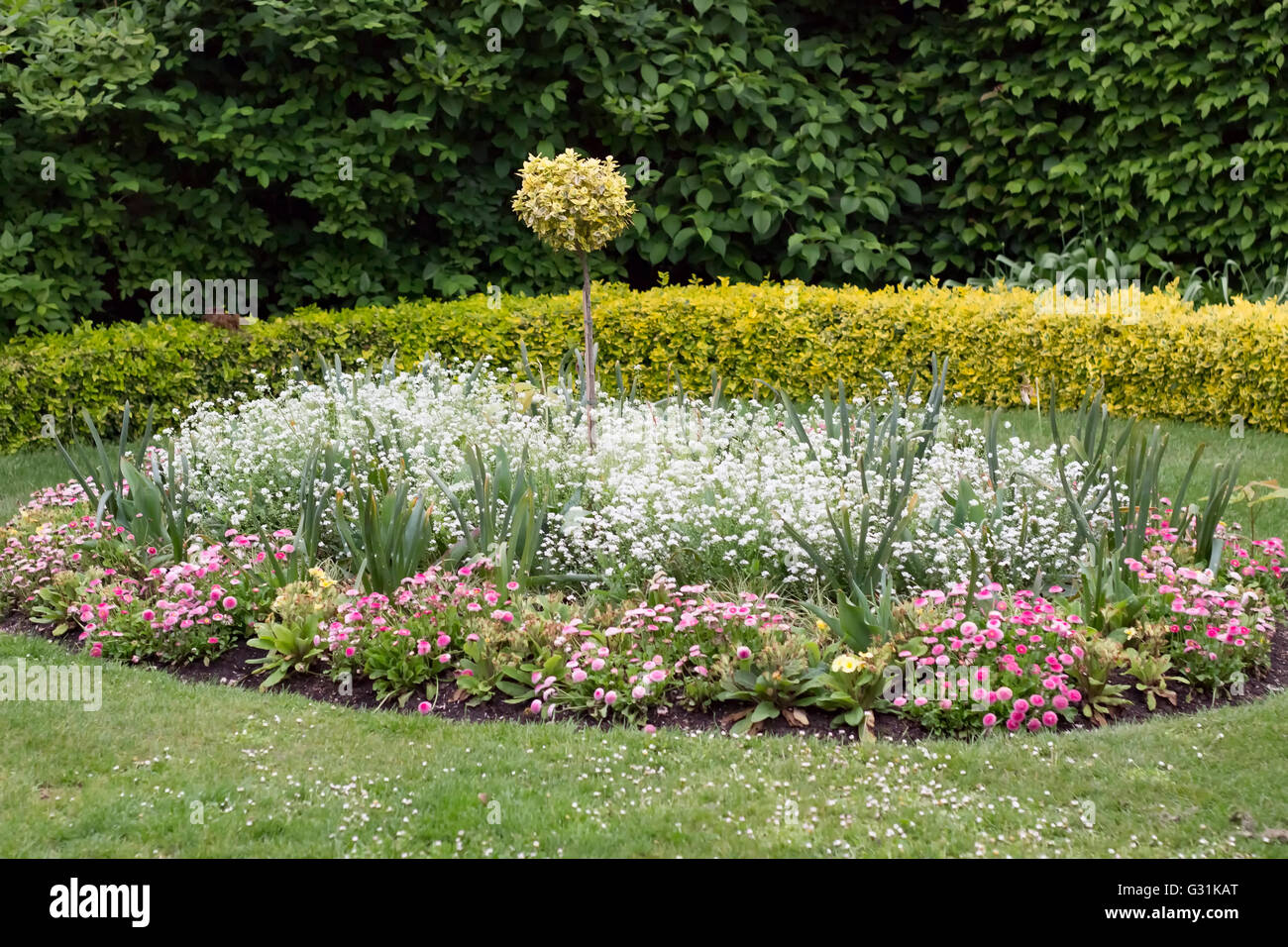 Une belle composition de fleurs blanches et roses de forme circulaire. Banque D'Images