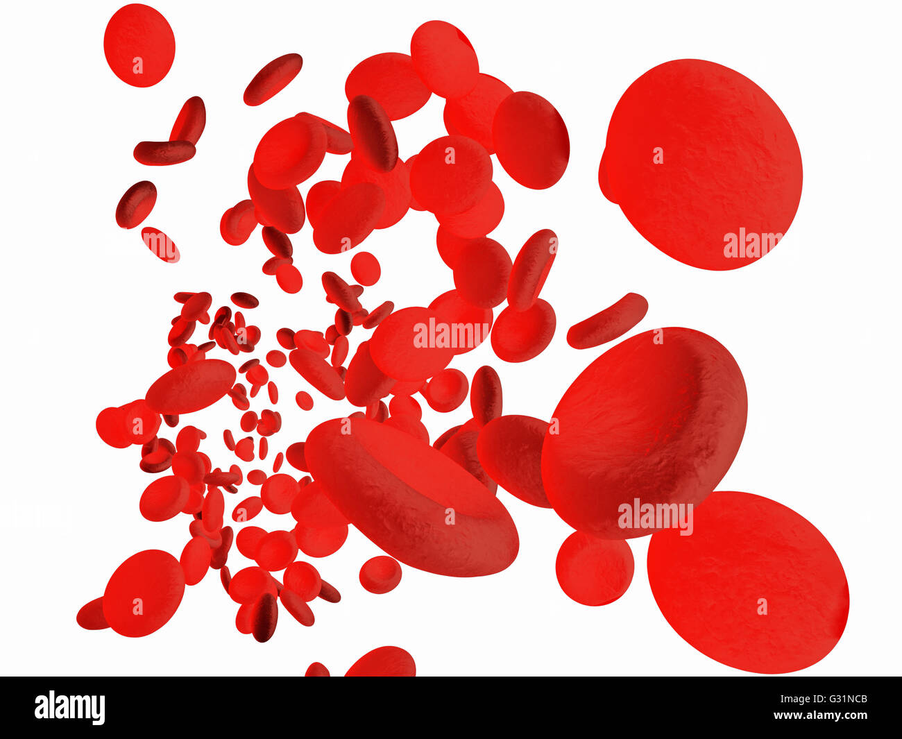 Les érythrocytes globules rouges dans l'intérieur des artères ou des vaisseaux sanguins capillaires. Montrant des cellules endothéliales et le débit sanguin ou stre Banque D'Images