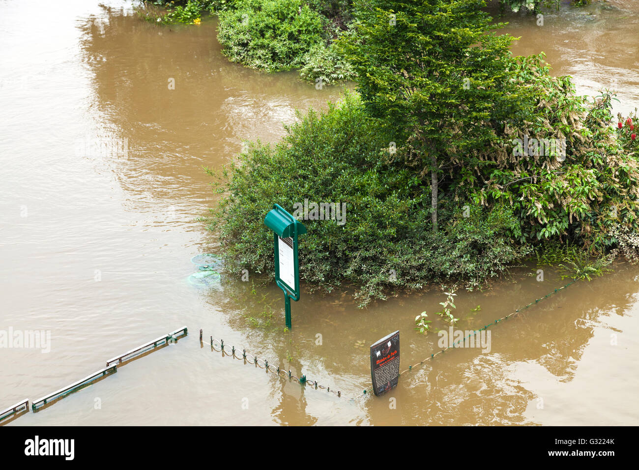 Paris, France. 06 Juin, 2016. Diminution des inondations, decrue de la Seine, square du vert galant, Paris, 06/06/2016 Credit : Ignacio Gomez Sales/Alamy Live News Banque D'Images