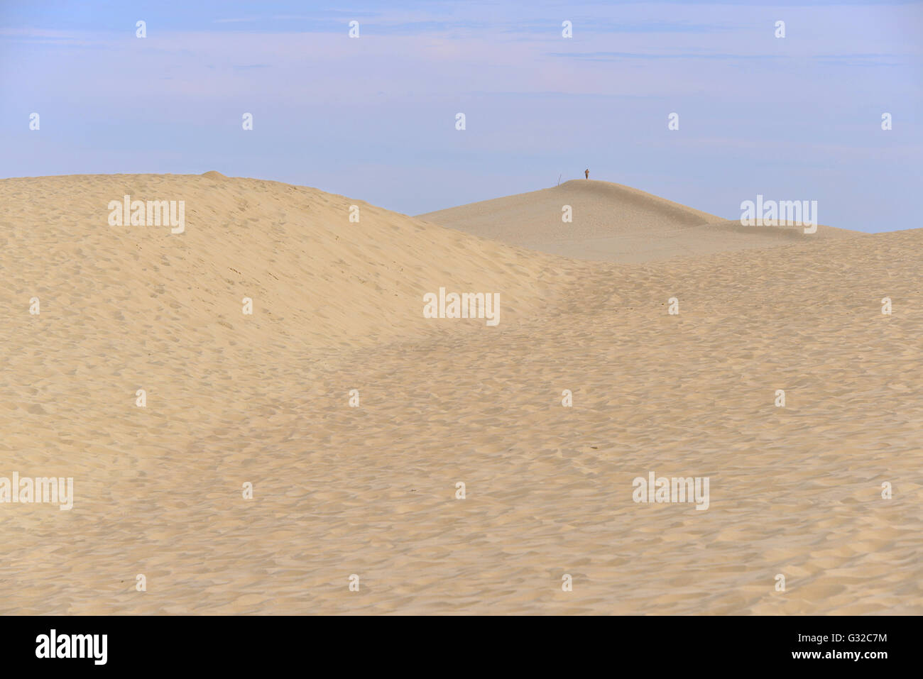 Célèbre Dune du Pilat situé à La Teste-de-Buch dans la région de la Baie d'Arcachon, dans le département de la Gironde et le sud-ouest de la France Banque D'Images