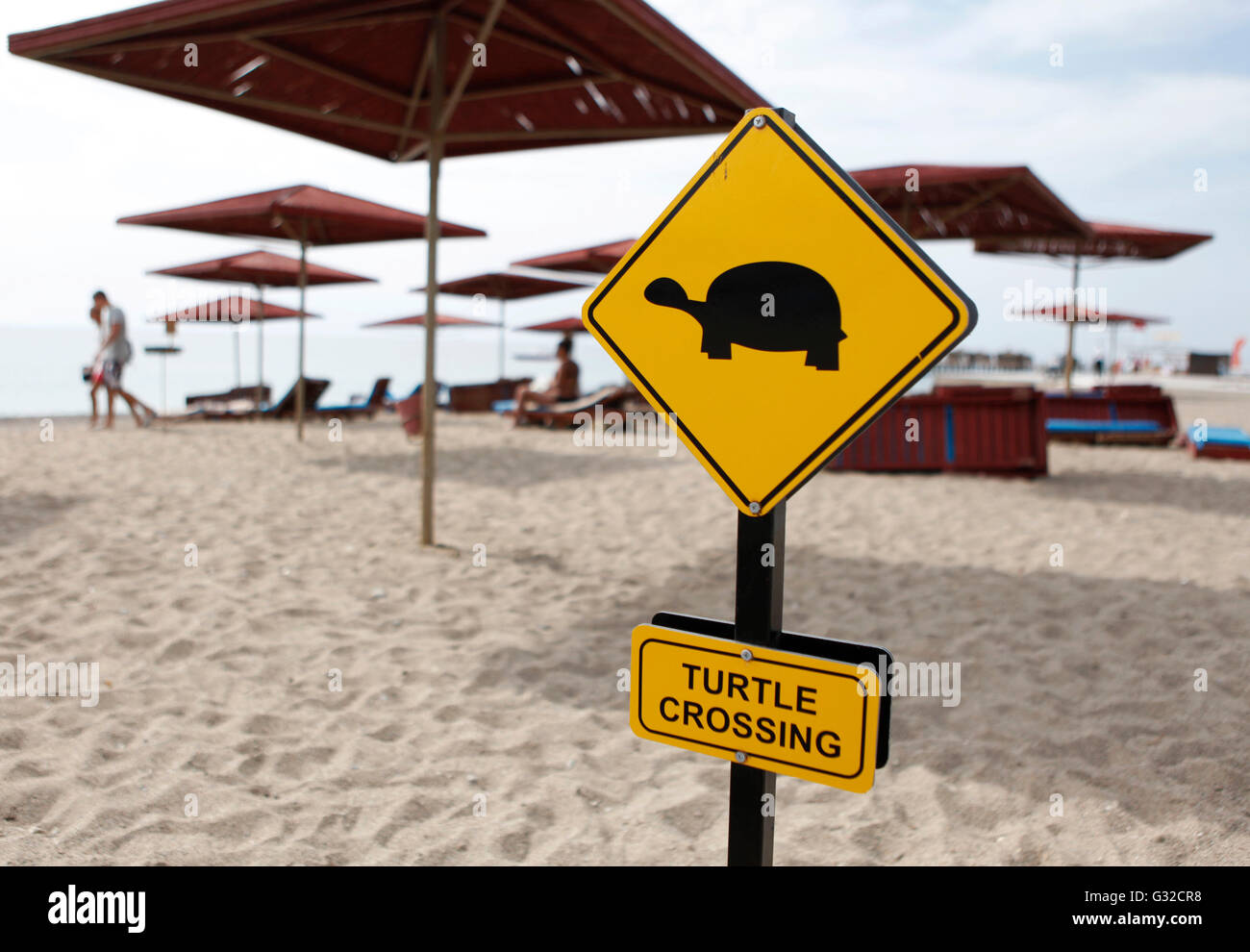 Panneau d'avertissement jaune 'turtle crossing', des tortues qui traversent la plage pour pondre leurs œufs, Hôtel Club Ali Bey Manavgat, Side Banque D'Images