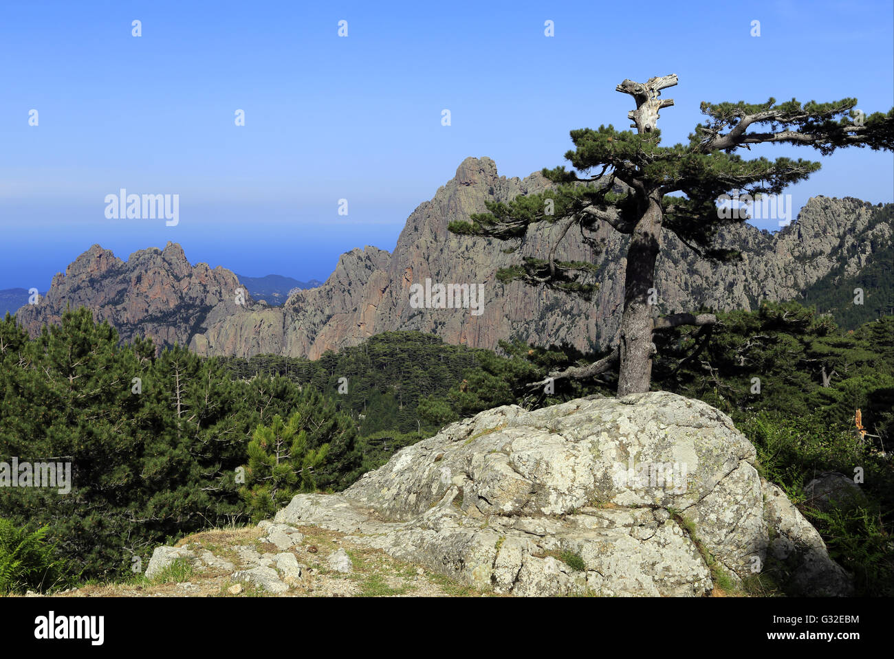 Les sommets de l'aiguille, comme de Bavella en Corse, Alta Rocca, France Banque D'Images