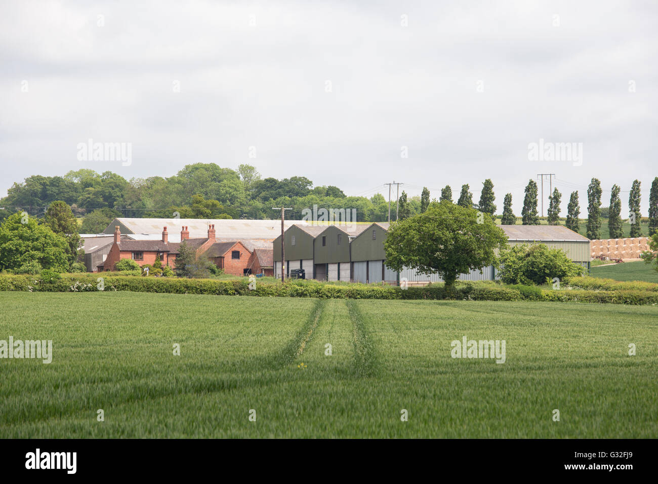 Une ferme traditionnelle entourée par des bâtiments agricoles, Worcestershire, Angleterre, RU Banque D'Images