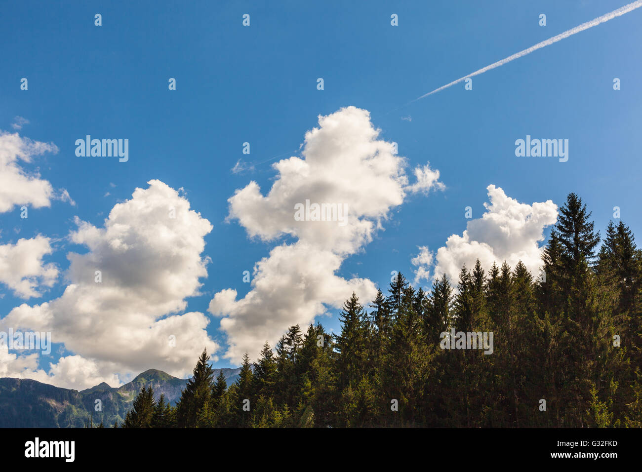 Belle et dynamique avec cloudscape ciel bleu intense et quelques arbres sur la montagne avec un seul jet trail Banque D'Images